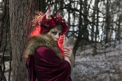 steamwolf_05